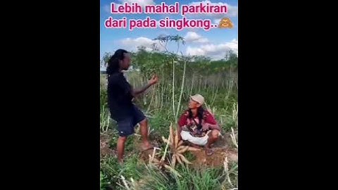 Para Petani Singkong Indonesia, Lebih Mahal Jaga Parkiran Daripada Harga Singkong.