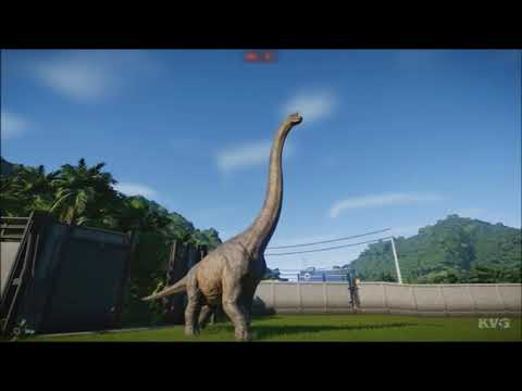 Video: ¿Dónde vivió el brontosaurio?