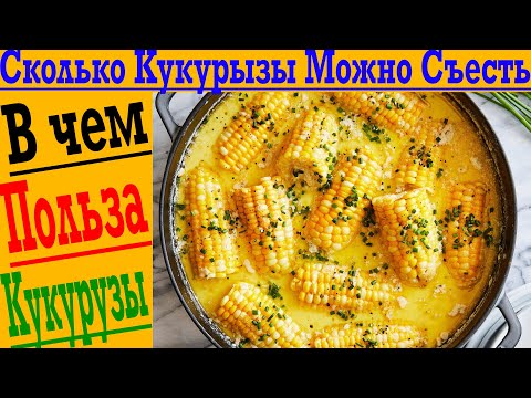 Сколько Кукурузы можно есть без вреда?! В чем польза кукурузы?!