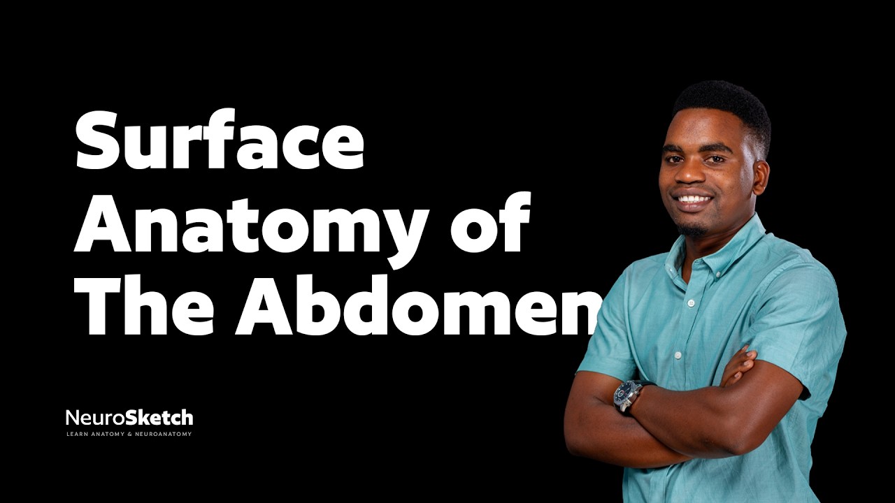 Abdomen 1: Surface Anatomy