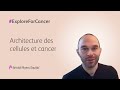 Architecture des cellules et cancer  bristol myers squibb