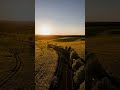 #djimini4pro #djidrone #rapeseed #raps #dronevideo #dronefly #droneshots #djiminidrone #sunsetview
