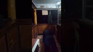 343 days challenge exercise 80 first push ups