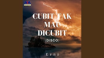 Cubit Tak Mau Dicubit (House Music)