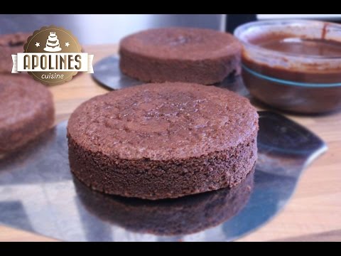 შოკოლადის ბისკვიტი - Chocolate biscuit