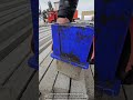 Cement Block Making Why 17 kg Matters More Than Size