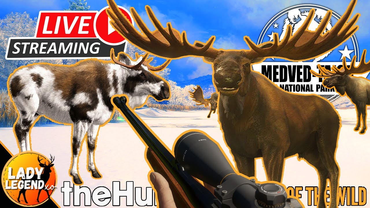 755 Kills, 1 Diamond (+ 6 Level 5 Moose on the Map) & 3 Rares into the SUPER RARE MOOSE Grind