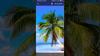 caribbean beach shore live wallpaper screenshot 2