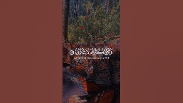 #القرآن_الكريم #ايات_قرانيه_قصيره #تلاوة_خاشعة #قرآن #تلاوات #quran #quran_kareem