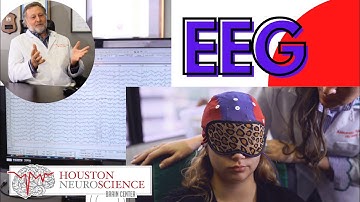 The EEG Process: HNBC