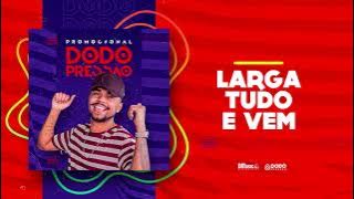 Dodô Pressão - Larga tudo e vem