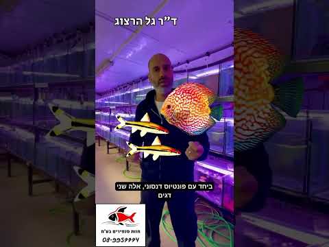 מה מסתדר עם הדגים שלי? #חוותסנפיריםבעמ #חוותסנפירים #דרגלהרצוג #דגינוי #אקווריומים #אקווריום