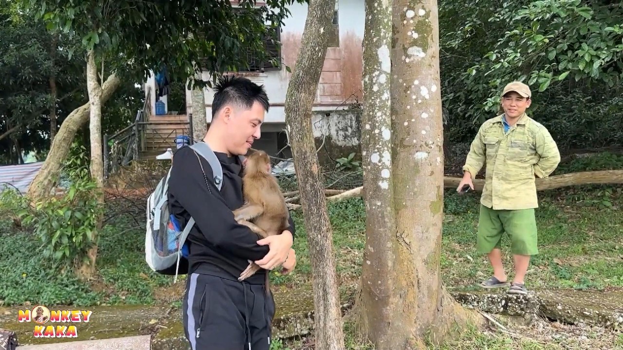 Monkey Kaka hugged dad tightly, wanting to go back to the family home with dad.