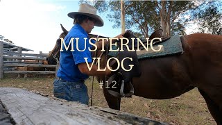 Mustering in Mount Perry