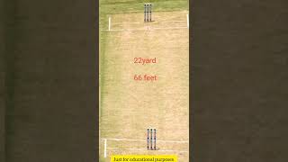 length of Cricket 🏏 pitch #gk #short #generalknowledge screenshot 2