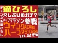 猫ひろし久しぶりのガチハーフマラソン参戦　ウイングAC手賀沼ハーフマラソン２０２０　１０.２５
