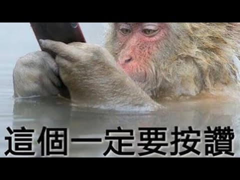 祐。鄧紫棋。 平行世界