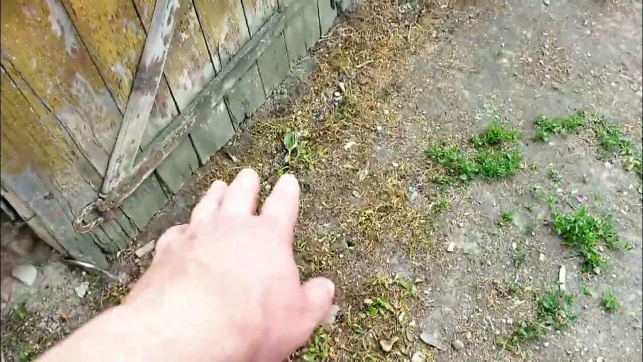 Гербицид шквал вк - YouTube