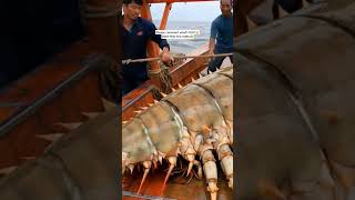 The Worlds Most Dangerous Weird Creatures