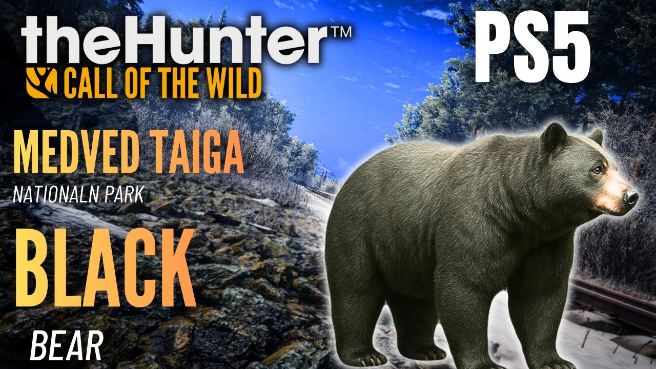 The Hunter Call Of The Wild  PS5...!!!! MEDVED TAIGA NOTIONALN PARK Part 2