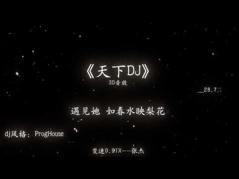 遇见她如春水映梨花，天下DJ降调版前奏一响国风DNA动了 #天下 #DJ降调 #遇见她