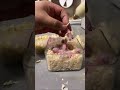 🐣 How to Feed a Baby Bird | Safe &amp; Easy Feeding Guide for Newborn Birds 🐦
