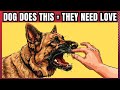 100 facts about dogs that you probably didnt know