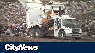 Single use items bylaw in Calgary; will it make a difference? Profile