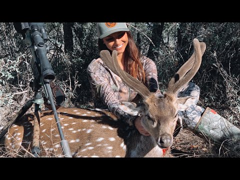 SHE HARVESTED Axis Buck in Velvet