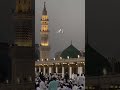 ya Mohammed Karam kijiye...# #ytshorts #naat#islamicshorts #allah #beautiful #foryou