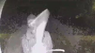 Malibu pickaxe suspect in custody