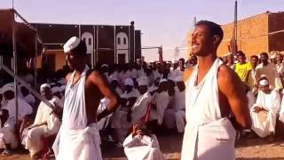 فيديو رائع  جلد السوط في الاعراس السودانية   حماسة رائعة   تابع واحكم 640x360