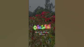 সুরা আল-ইখলাস (سورة الإخلاص)সাবস্ক্রাইব করুন মুসলিম হয়ে থাকলে।