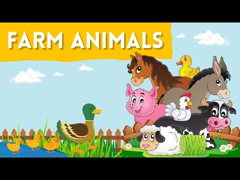 Learn Farm Animals