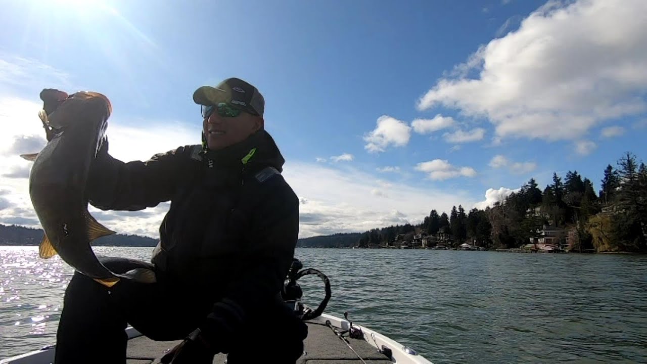 Denali Fishing Rods Fission Series YouTube