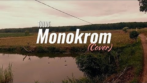 VIDIO KLIP Tulus-Monokrom ( Tugas SMK )