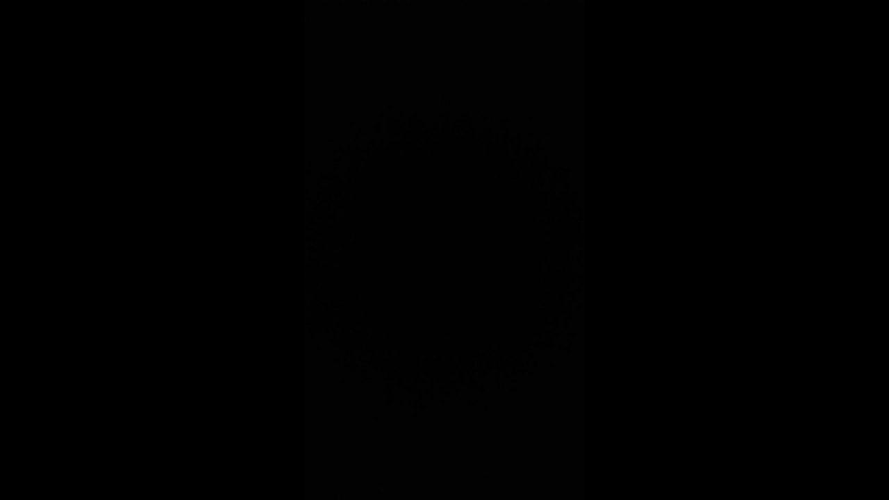 Consea No.1 (The dangerous piece)