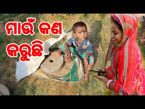 ଆଜି ଦିନ ସାରା କଣ ସବୁ ହେଲା ମାଉଁ କଲା ମଜା subhalaxmi express 09 new vlogs
