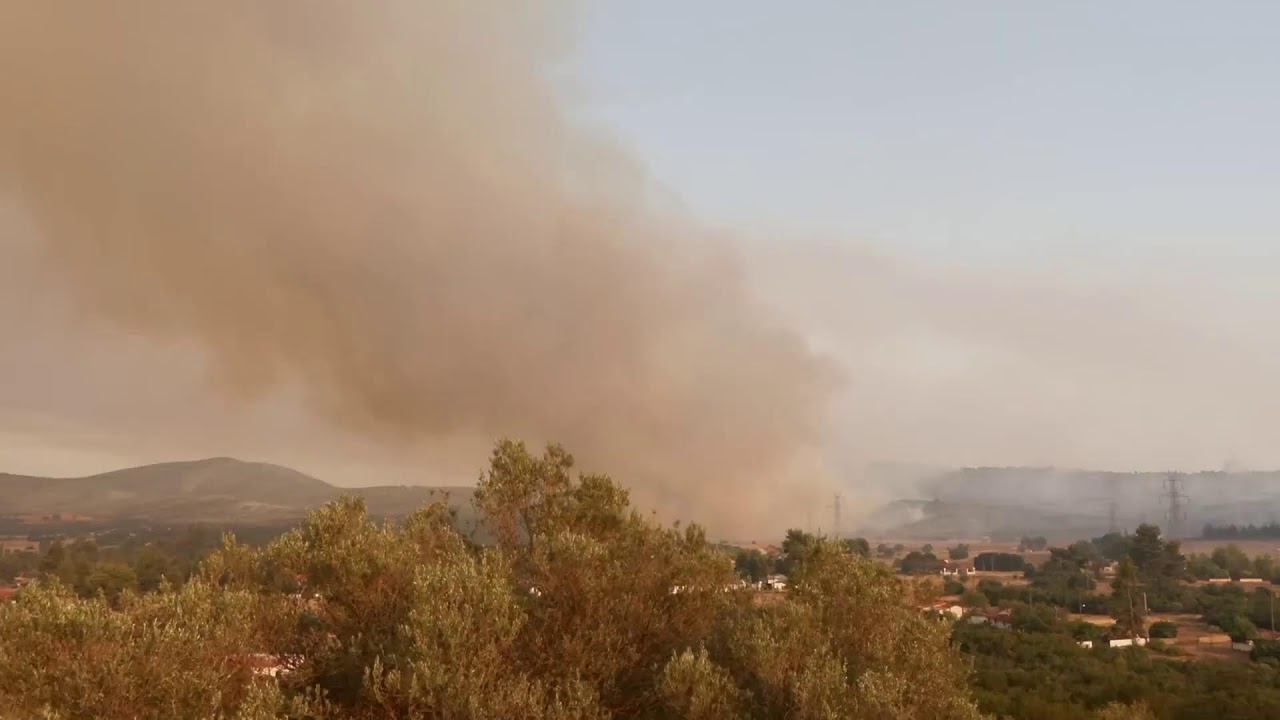 LIVE: Wildfires in Greece raze forests, spur evacuations