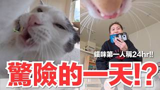 【好味小姐】&nbsp;驚險的一天！？貓咪第一人稱24hr！｜好味貓日常265