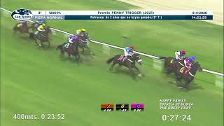 Vidéo de la course PMU PREMIO PENNY TRIGGER 2021 (2EME PELOTON)