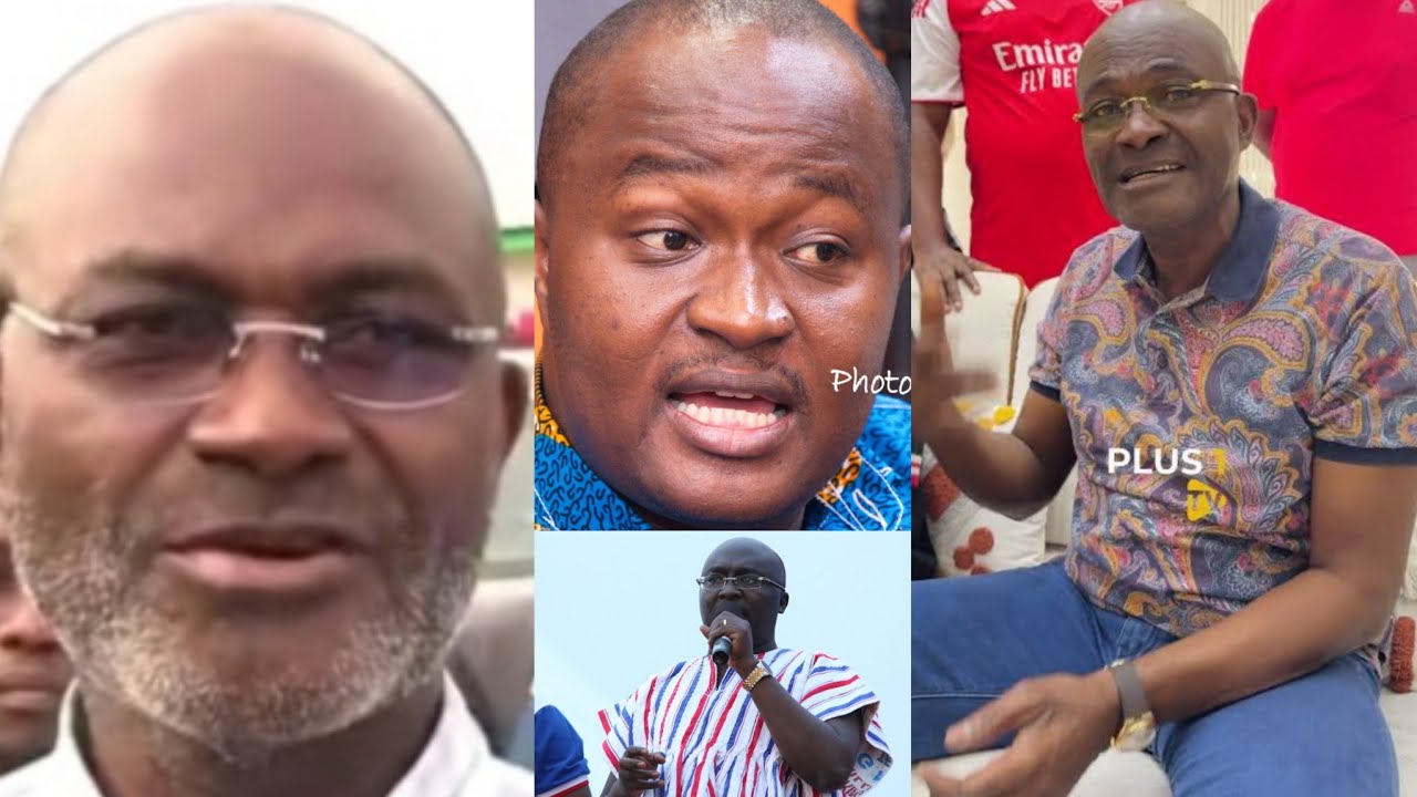 I will do everything possible to help Dr. Bawumia win the 2028 election