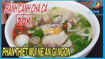 Đã Thèm Bánh Canh Chả Cá 20k | Phan Thiết Mũi Né Ăn Gì Ngon | Tysu Chu du