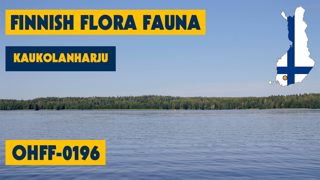 12/07/2023 - Finnish Flora Fauna - OHFF-0196 - Kaukolanharju