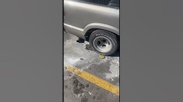 Ever Seen A S-10 Slammed Like This?! 😳😭