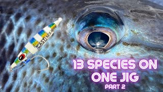 13 SPECIES OF FISH ON ONE JIG!! Slow Pitch Jig Fishing the Gulf (Part 2).