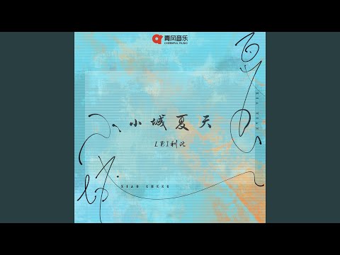 小城夏天 (Dj 沈念版)