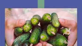Summer's Seasonal Fruits and Vegetables