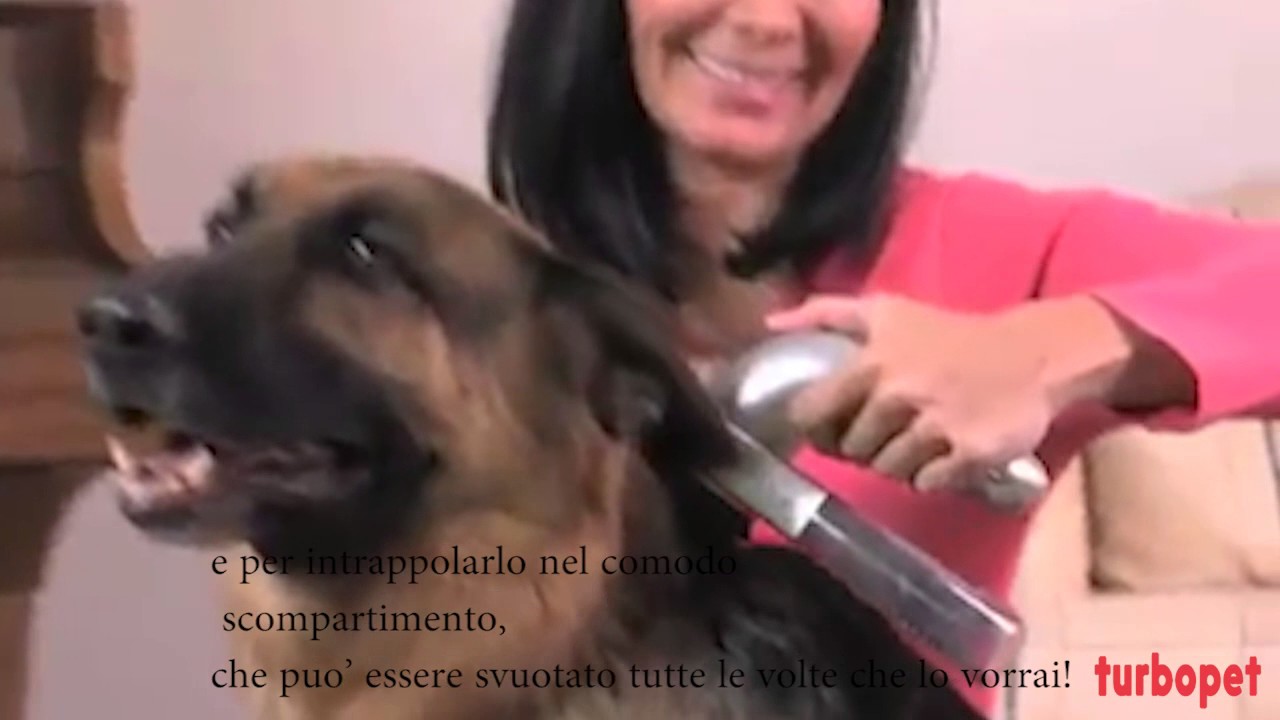 TurboPet: un NUOVO Aspirapeli Per Cani - YouTube