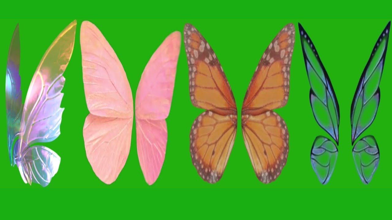 Butterfly fairy wings overlay green screen effect video